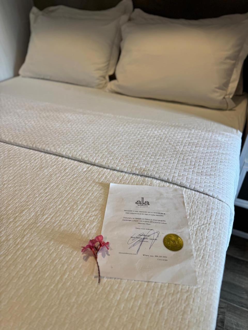 Hotel "Ala Residencias" Четумаль Экстерьер фото